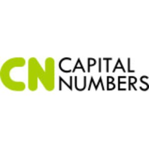 CapitalNumbers Infotech logo